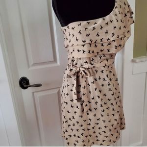 Poodle asymmetrical ruffle belted sheer mini unique dog lover dress light